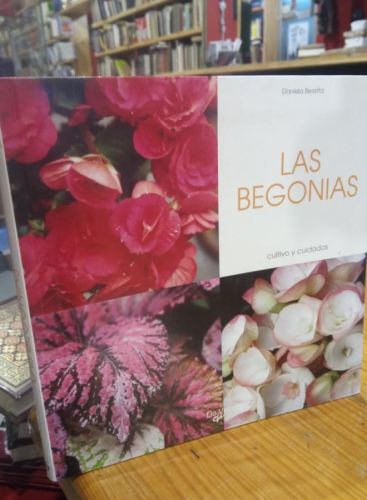 Portada do libro de LAS BEGONIAS. DANIELA BERETTA