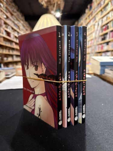 Portada do libro de Anne Freaks (completa)