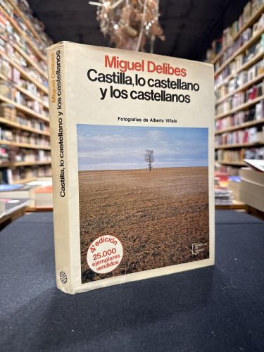 Castilla, lo castellano y los castellanos
