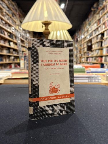 Portada do libro de Viaje por los montes y chimeneas de Galicia