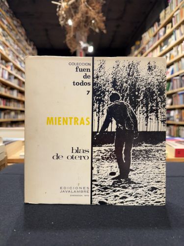 Portada do libro de Mientras
