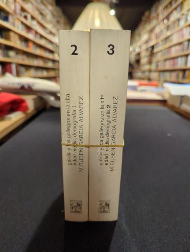 Portada del libro de Galicia y los gallegos en la Alta Edad Media (2v.)