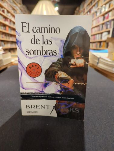 El camino de las sombras (El Ángel de la Noche 1)