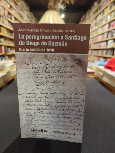 La peregrinación a Santiago de Diego Guzmán