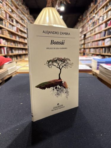 Bonsái