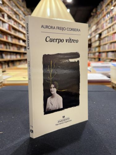 Cuerpo vítreo