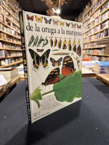 Portada del libro de De la oruga a la mariposa