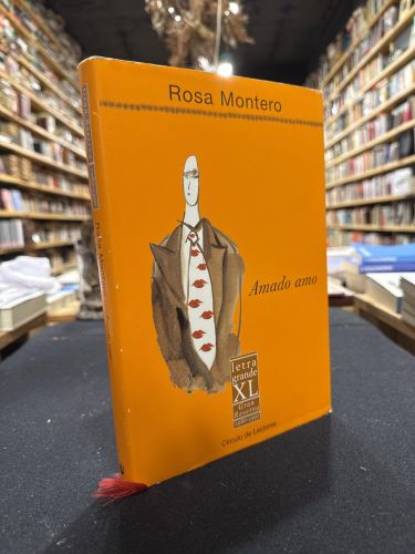 Portada do libro de Amado amo (Letra grande)
