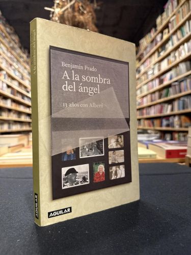 Portada do libro de A la sombra del ángel
