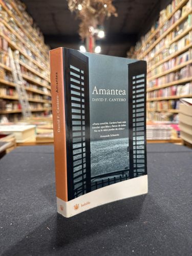 Portada do libro de Amantea - bolsillo
