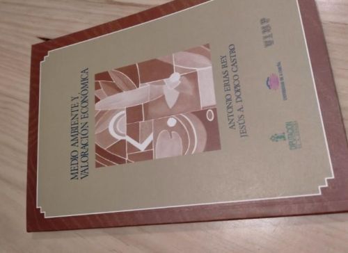 Portada del libro de MEDIO AMBIENTE Y VALORACION ECONOMICA. ERIAS REY. DOPICO CASTRO