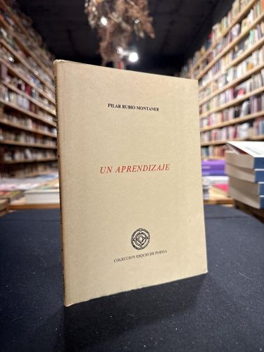 Portada do libro de Un aprendizaje
